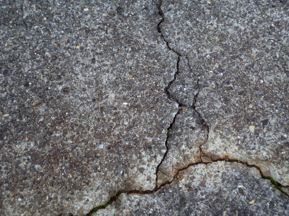DSC01919