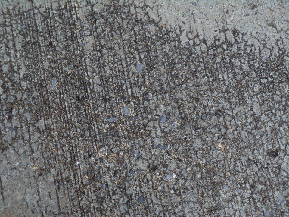 DSC01905