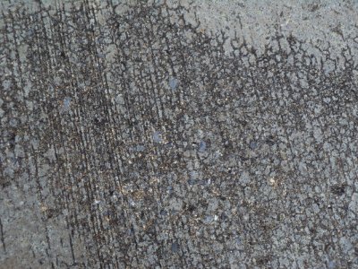 DSC01905