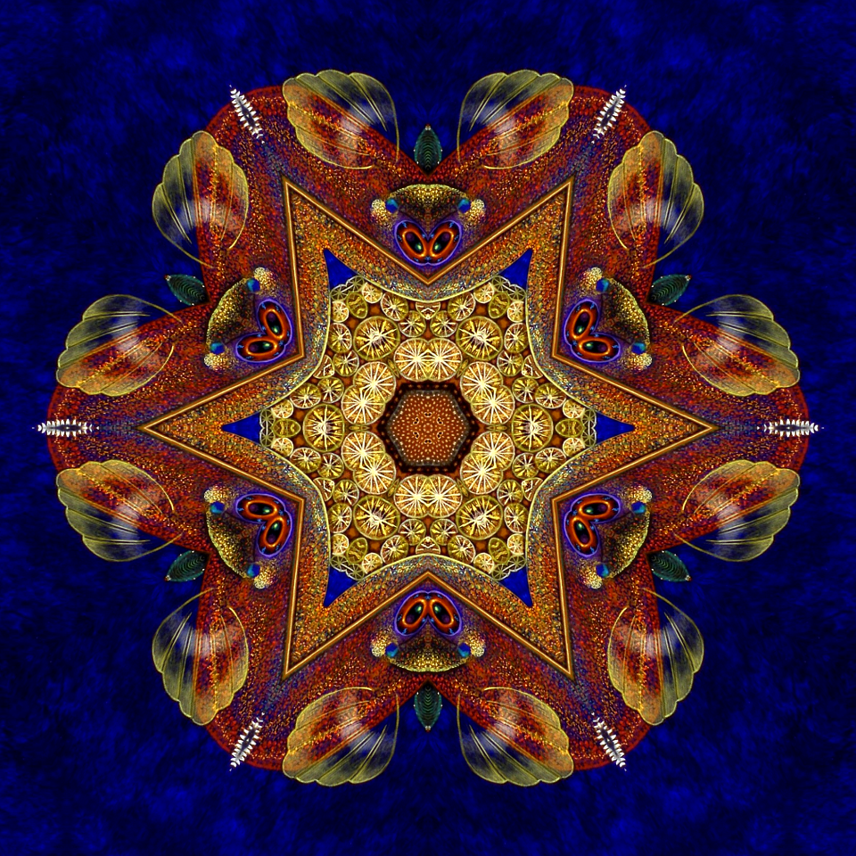 Demiregular tiles 11