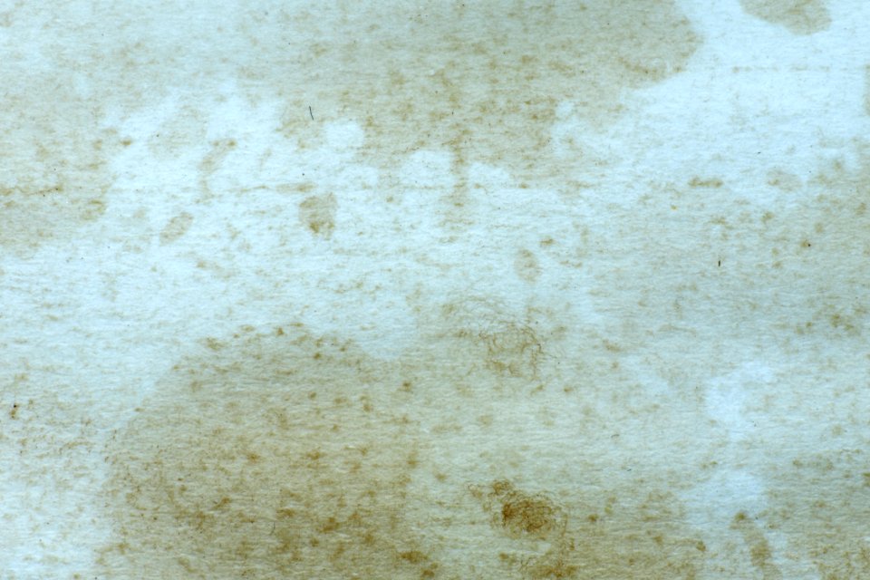 Paper and Cardboard_011