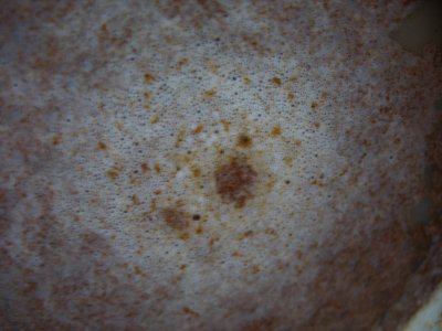 IMG_1096