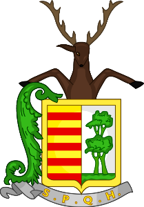 Wapen van Hasselt_1600-2299