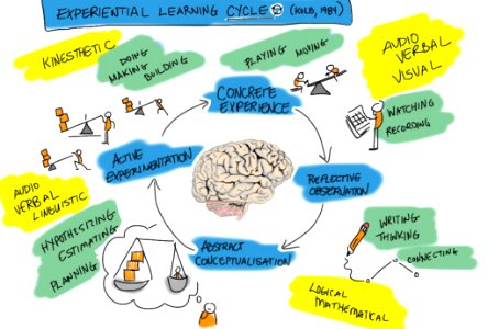 Kolb's Experiential Learning CYCLE. Free illustration for personal and commercial use.