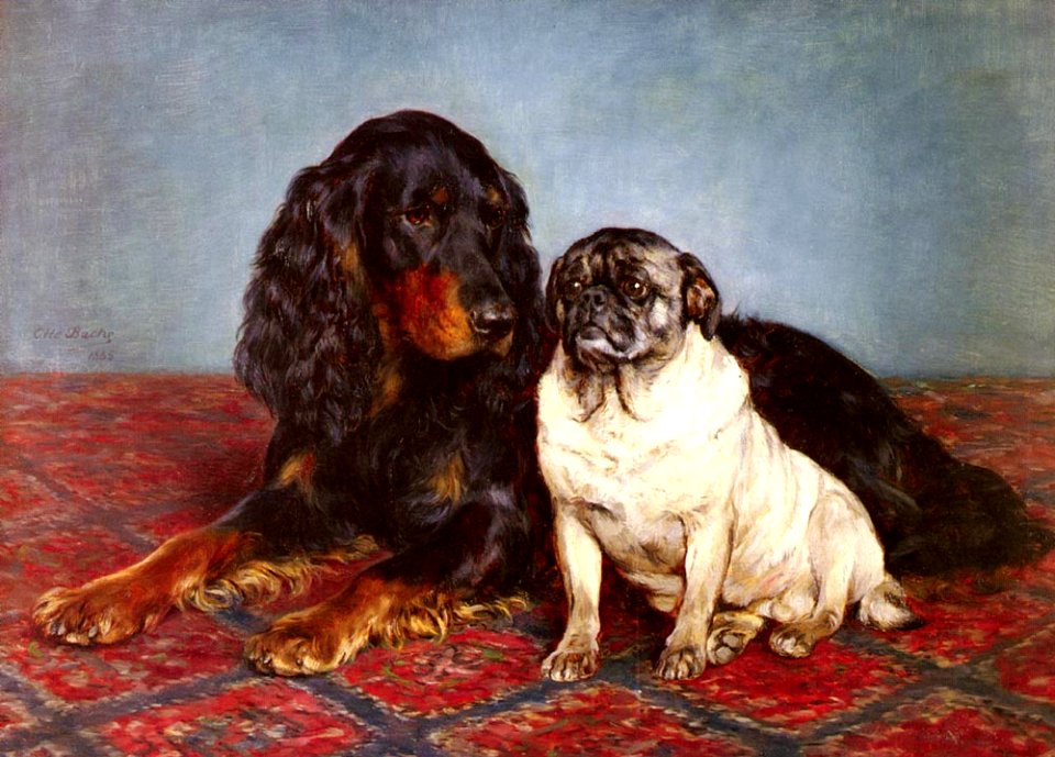 A Gordon Setter and a Pug - Otto Bache
