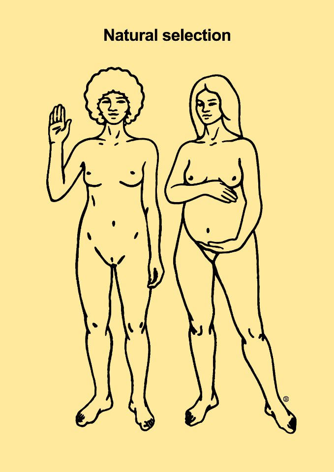 EVOLUTION 2.0