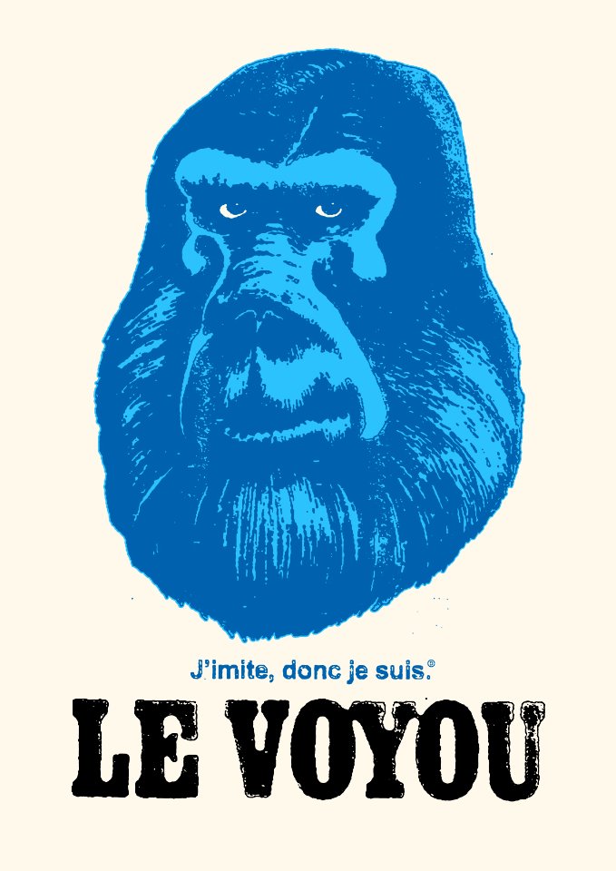 VOYOU