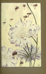 newsofspring_0021