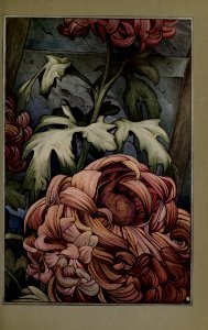 newsofspring_0016