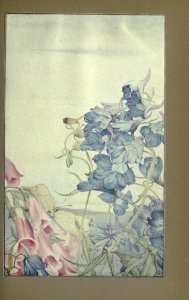newsofspring_0017