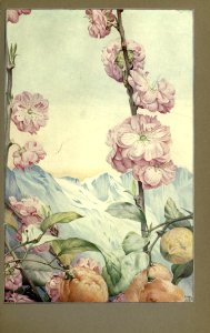 newsofspring_0012