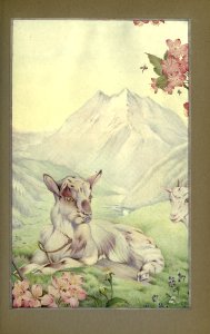 newsofspring_0013