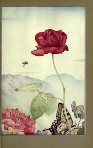 newsofspring_0010