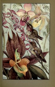 newsofspring_0008