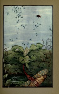 newsofspring_0005
