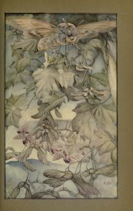 newsofspring_0004