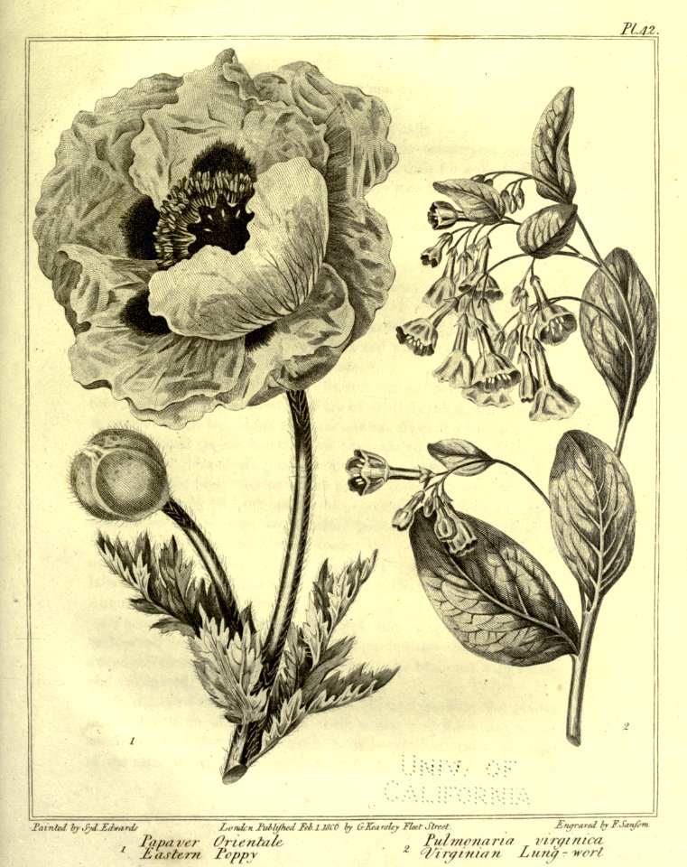 newbotanicgarden_01