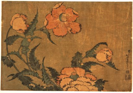 Poppies in the Wind_Katsushika Hokusai