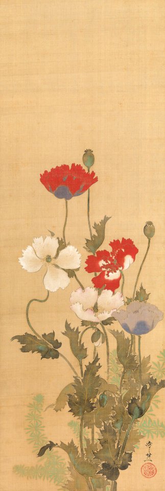 Poppies_Suzuki Kiitsu