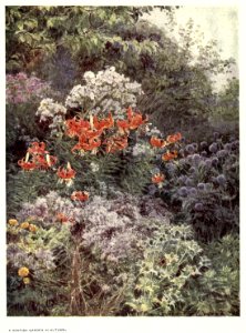 charmofgardens_0022