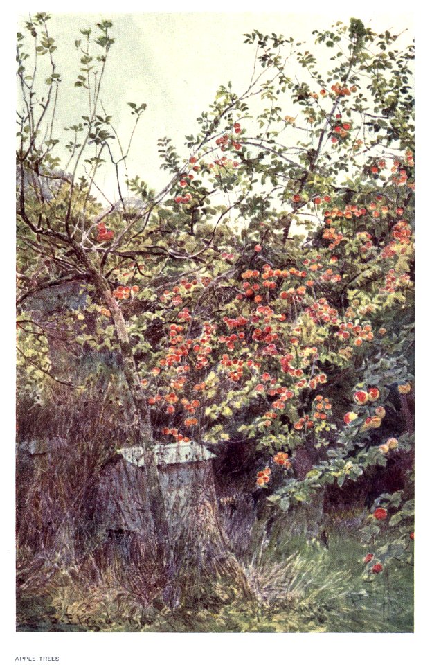 charmofgardens_0019