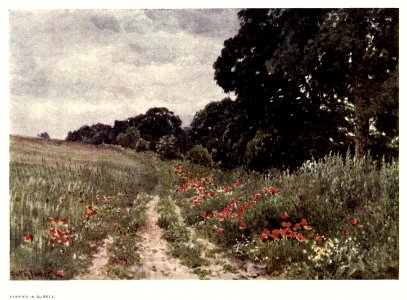 charmofgardens_0008