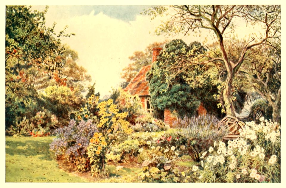 36