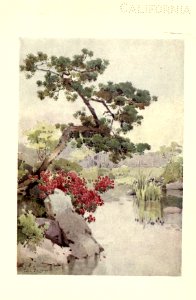 flowersandgardensofJapan_0043