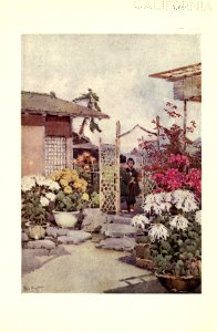 flowersandgardensofJapan_0038