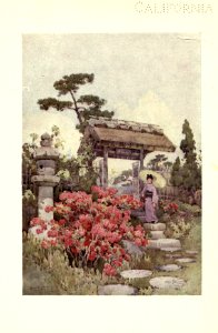 flowersandgardensofJapan_0031