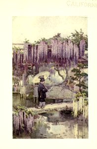 flowersandgardensofJapan_0030