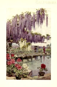 flowersandgardensofJapan_0029