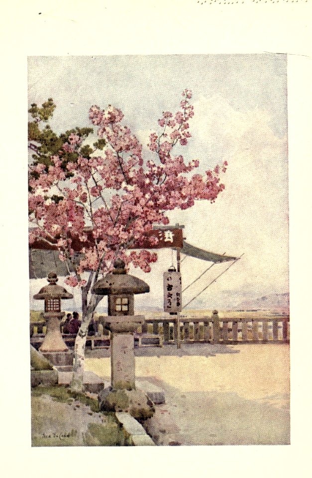 flowersandgardensofJapan_0025