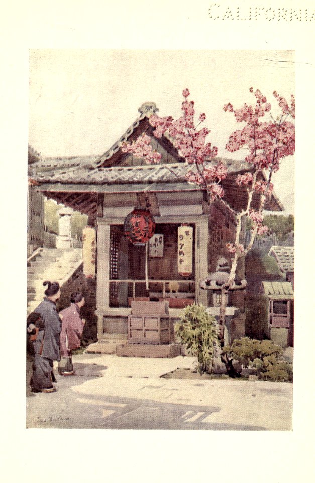 flowersandgardensofJapan_0023