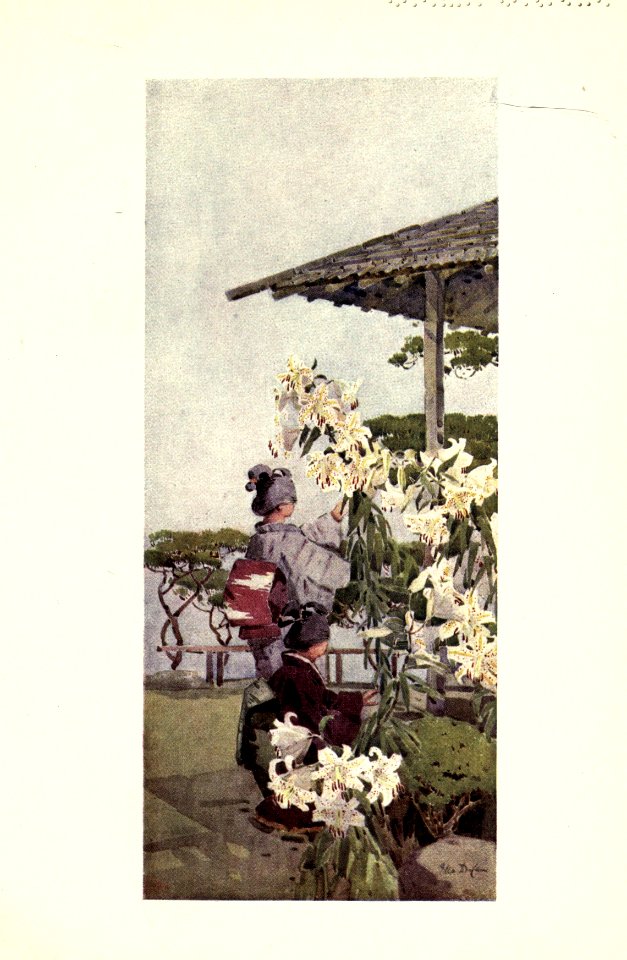 flowersandgardensofJapan_0016