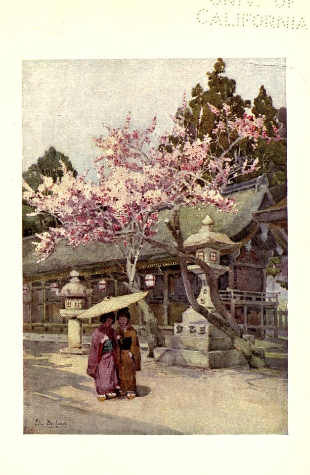 flowersandgardensofJapan_0021
