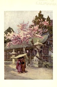 flowersandgardensofJapan_0021