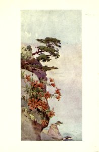 flowersandgardensofJapan_0017