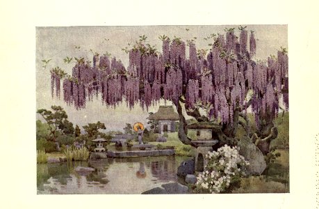 flowersandgardensofJapan_0009