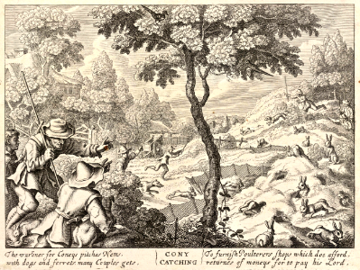 Cony catching. Etching by Wenceslaus Hollar (1607-1677). Free illustration for personal and commercial use.