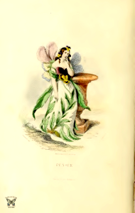 Pensée, wild pansy (1867). Free illustration for personal and commercial use.