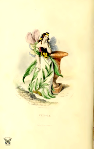 Pensée, wild pansy (1867)