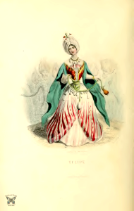 Tulipe, tulip (1867)