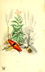 Tabac, Tabacco (1867)