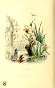 Narcisse,  narcissus (1867)