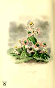 Marguerite, daisy (1847). Free illustration for personal and commercial use.