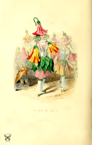 Belle-de-nuit, Beauty of the night (four o'clock) 1867