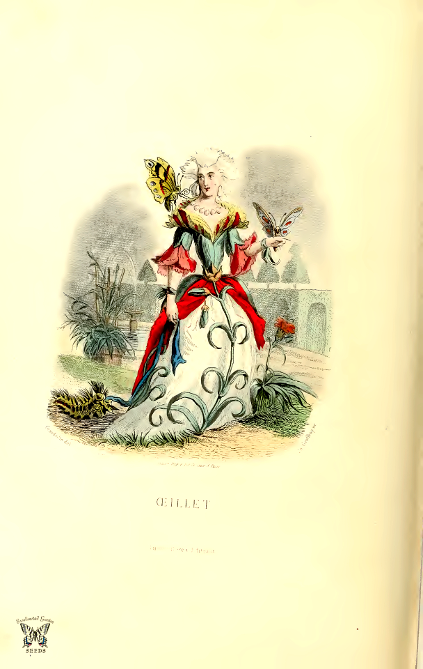Oeillet, carnation (1867). Free illustration for personal and commercial use.