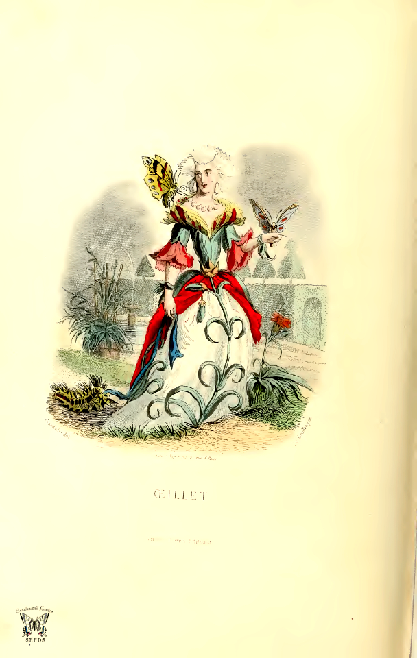 Oeillet, carnation (1867)