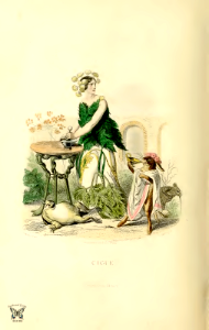 Ciguë, hemlock (1867). Free illustration for personal and commercial use.